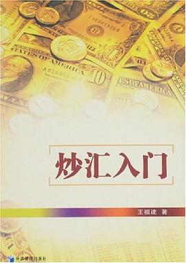炒汇入门 pdf epub mobi 电子书 下载