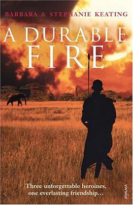 A Durable Fire pdf epub mobi 电子书 下载