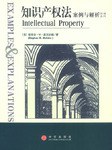 知识产权法 pdf epub mobi 电子书 下载