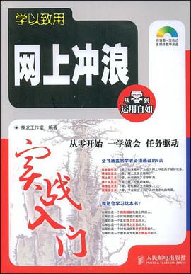 网上冲浪实战入门 pdf epub mobi 电子书 下载