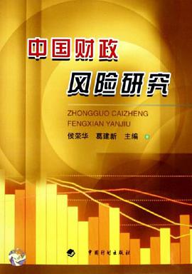 中国财政风险研究 pdf epub mobi 电子书 下载