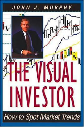 The Visual Investor pdf epub mobi 电子书 下载