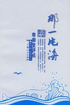 那一片海 pdf epub mobi 电子书 下载
