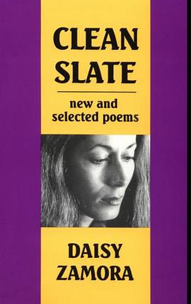 Clean Slate pdf epub mobi 电子书 下载