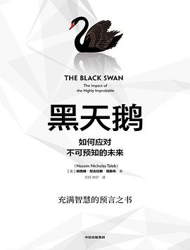 黑天鹅 pdf epub mobi 电子书 下载
