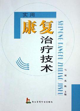 实用康复治疗技术 pdf epub mobi 电子书 下载