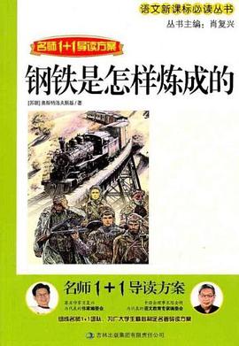 名师1+1导读方案 pdf epub mobi 电子书 下载