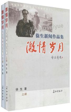 激情岁月 pdf epub mobi 下载