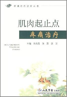 肌肉起止点疼痛治疗 pdf epub mobi 电子书 下载