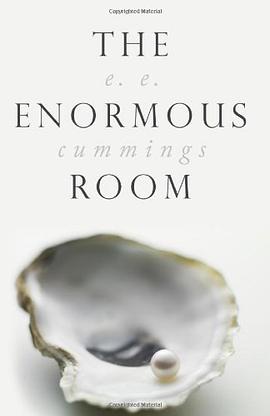 The Enormous Room pdf epub mobi 下载