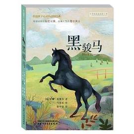 黑骏马 pdf epub mobi 电子书 下载