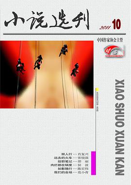 小说选刊 pdf epub mobi 电子书 下载