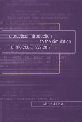 A Practical Introduction to the Simulation of Molecular Systems pdf epub mobi 电子书 下载