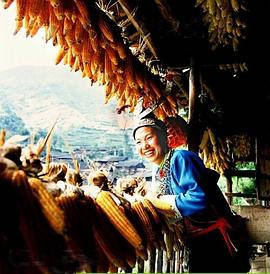 黔東南 pdf epub mobi 下载