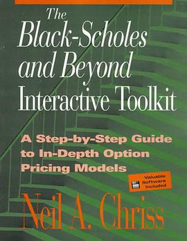 The Black Scholes and Beyond Interactive Toolkit pdf epub mobi 下载