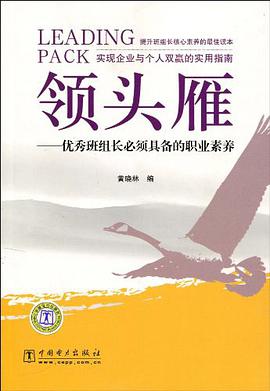 领头雁 pdf epub mobi 电子书 下载