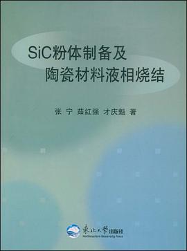 SiC粉体制备及陶瓷材料液相烧结 pdf epub mobi 电子书 下载
