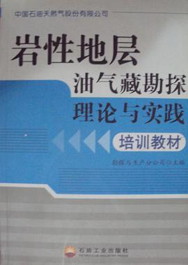 岩性地层油气藏勘探理论与实践培训教材