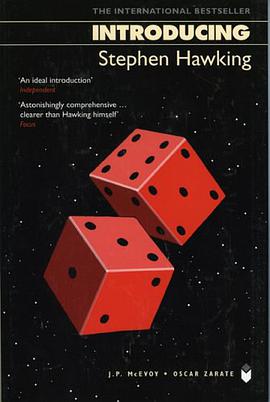 Introducing Stephen Hawking, 3rd Edition