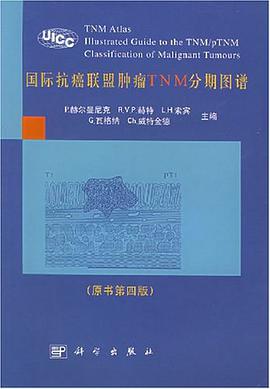 国际抗癌联盟肿瘤TNM分期图谱 pdf epub mobi 电子书 下载