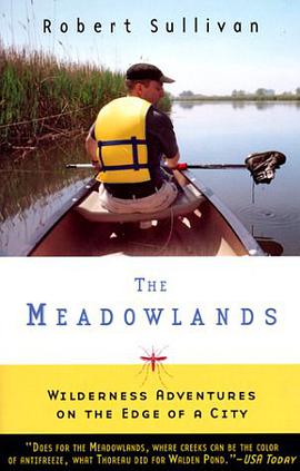 The Meadowlands pdf epub mobi 电子书 下载