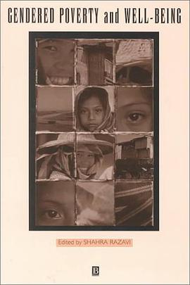 Gendered Poverty and Well-Being pdf epub mobi 电子书 下载