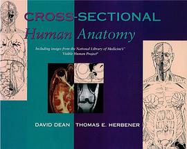 Cross-Sectional Human Anatomy pdf epub mobi 电子书 下载