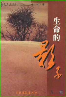 生命的影子 pdf epub mobi 电子书 下载