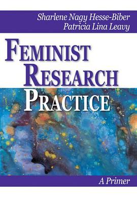 Feminist Research Practice pdf epub mobi 电子书 下载
