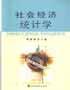 社会经济统计学 pdf epub mobi 电子书 下载