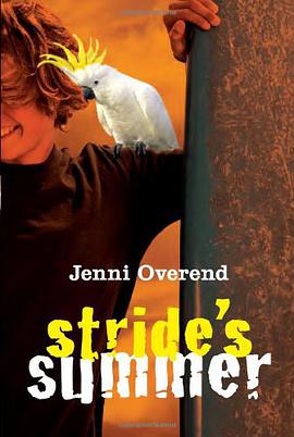 Stride's Summer pdf epub mobi 电子书 下载