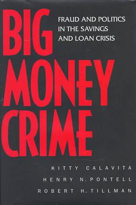 Big Money Crime pdf epub mobi 电子书 下载