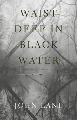 Waist Deep in Black Water pdf epub mobi 电子书 下载
