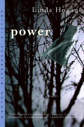 Power pdf epub mobi 电子书 下载