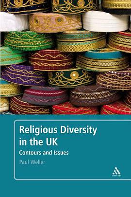 Religious Diversity in the UK pdf epub mobi 电子书 下载