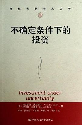 不确定条件下的投资 pdf epub mobi 电子书 下载