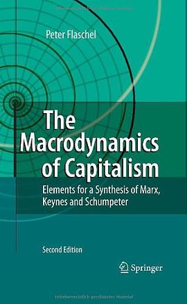 The Macrodynamics of Capitalism pdf epub mobi 电子书 下载