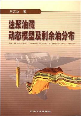 注聚油藏动态模型及剩余油分布 pdf epub mobi 下载