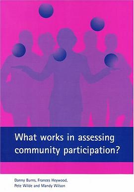 What Works In Assessing Community Participation? pdf epub mobi 电子书 下载