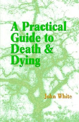 Practical Guide to Death and Dying pdf epub mobi 电子书 下载