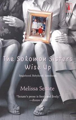 The Solomon Sisters Wise Up pdf epub mobi 电子书 下载