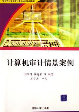 計算機審計情景案例 pdf epub mobi 電子書 下載