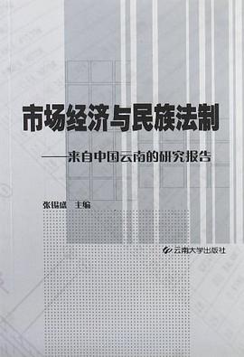 市场经济与民族法制