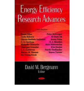 Energy Efficiency Research Advances pdf epub mobi 电子书 下载