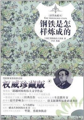 钢铁是怎样炼成的 pdf epub mobi 电子书 下载