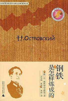 钢铁是怎样炼成的 pdf epub mobi 电子书 下载