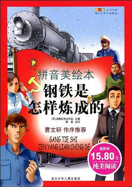 钢铁是怎样炼成的 pdf epub mobi 电子书 下载