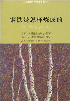 钢铁是怎样炼成的 pdf epub mobi 电子书 下载