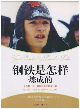 钢铁是怎样炼成的 pdf epub mobi 电子书 下载