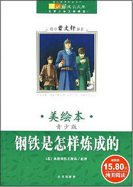 钢铁是怎样炼成的 pdf epub mobi 电子书 下载